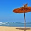 Prognoza pogody morskiej i nadmorskiej w Bouznika na kolejne 7 dni