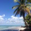 Kiedy popływać na wyspie Saona: temperatura morza w poszczególnych miesiącach